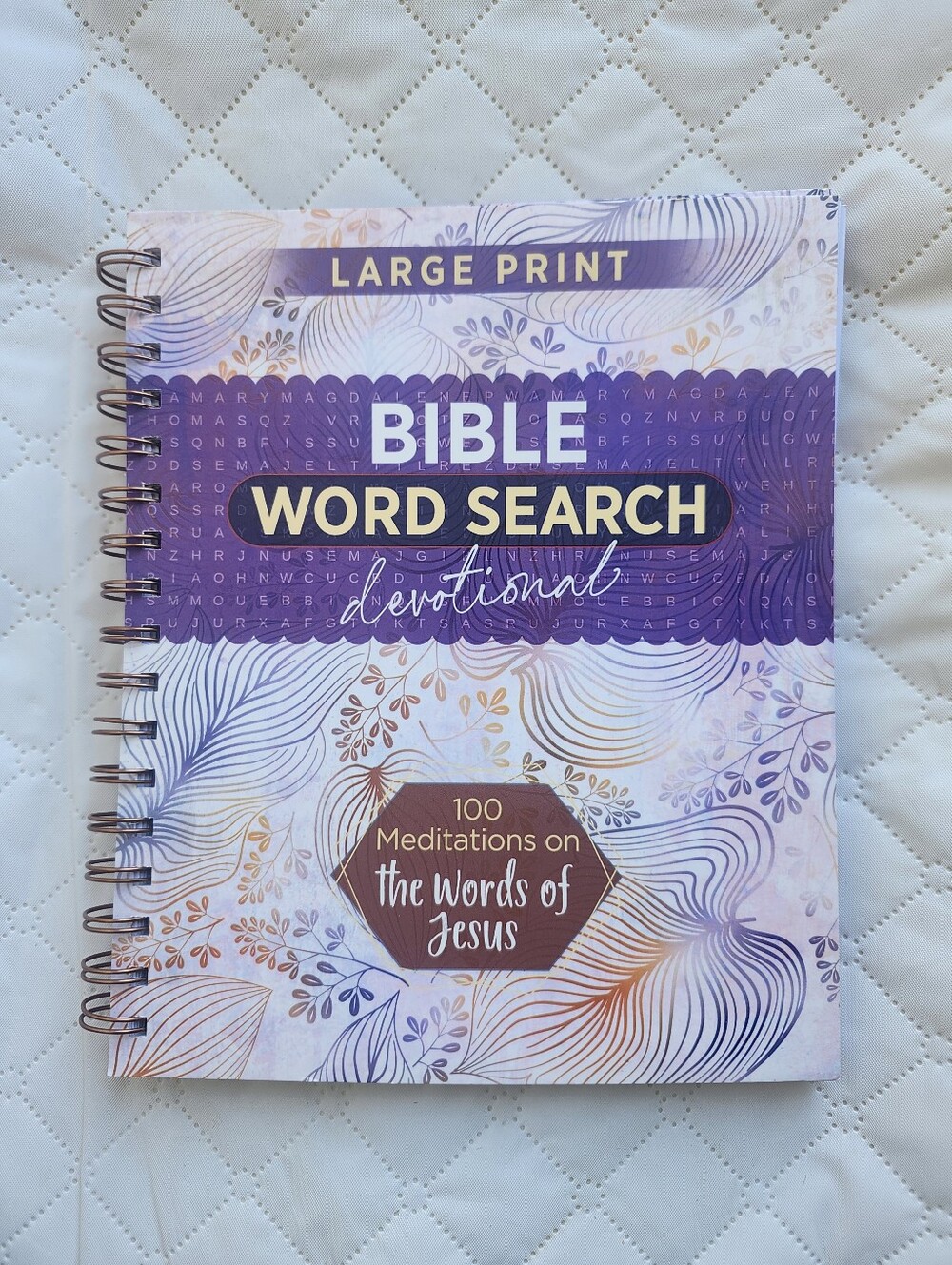 Bible Word Search Devotional